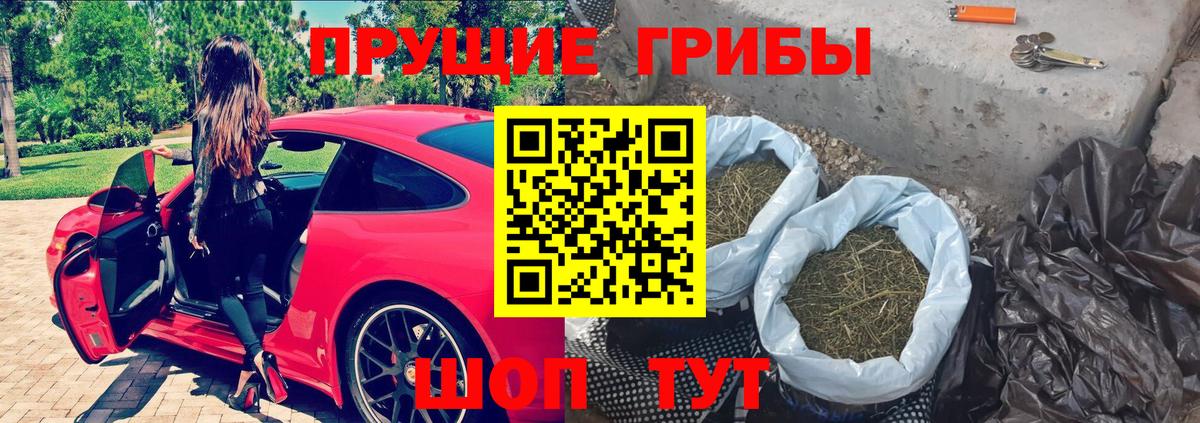 Новодвинск  Галлюциногенные грибы ЛСД  Вход с VPN 