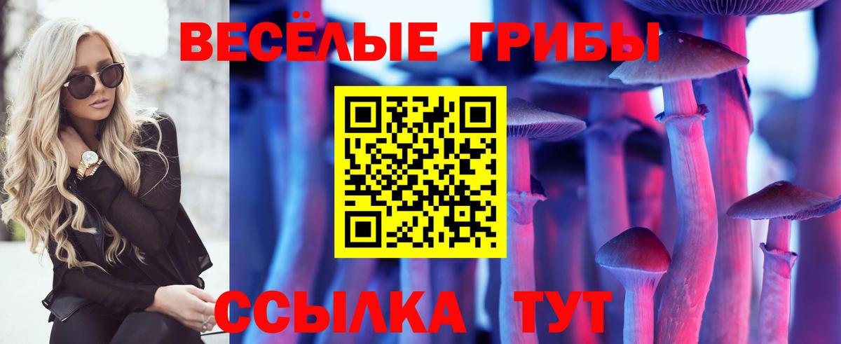 Псилоцибиновые грибы Magic Shrooms Новодвинск